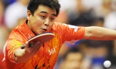 开云在线直播-韩国队险胜德国队，王皓高光表现的简单介绍