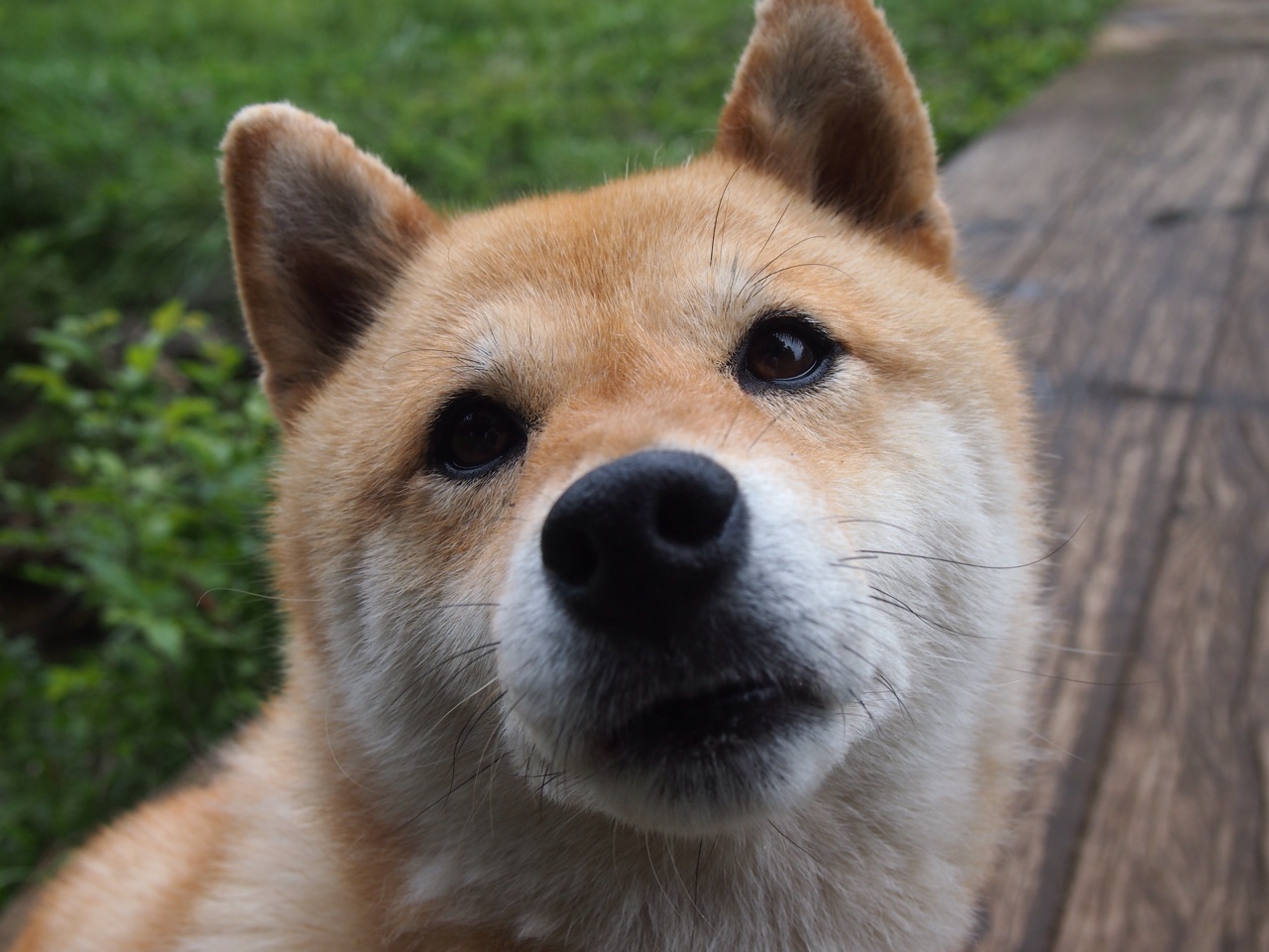 迪亚斯爆发改写战局，加纳强行终结英格兰黄金一代