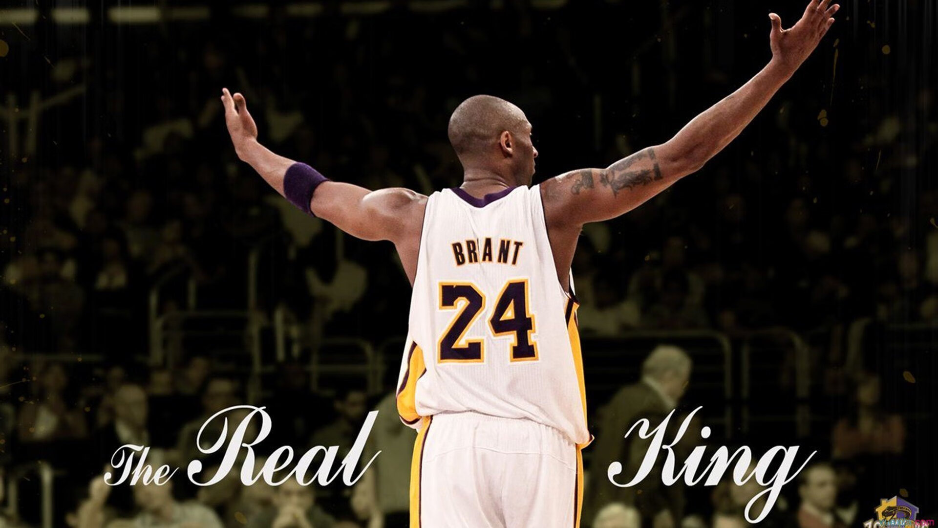 霍勒迪硬仗之王!步行者单节狂飙拉开勇士,诠释何为关键先生